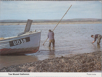 Occupations Postcard - Taw Mussel Gatherers   RR23338