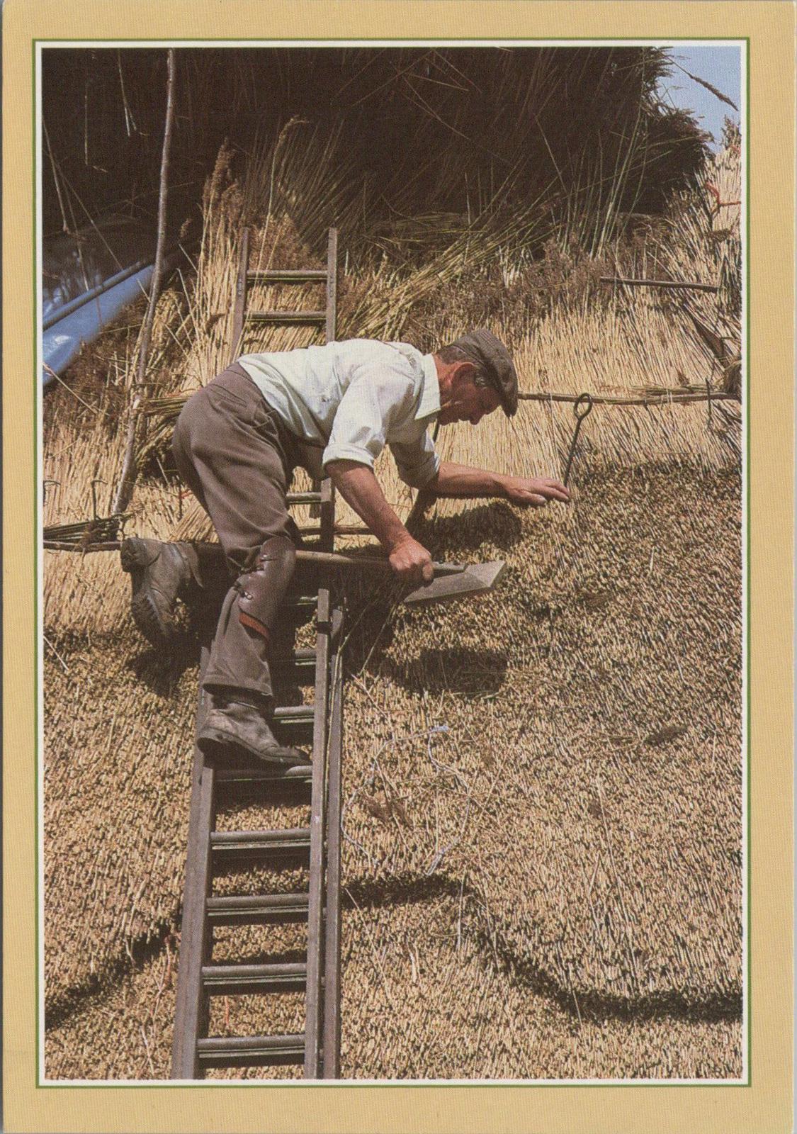 Occupations Postcard - Traditional Crafts, The Thatcher  RR23340