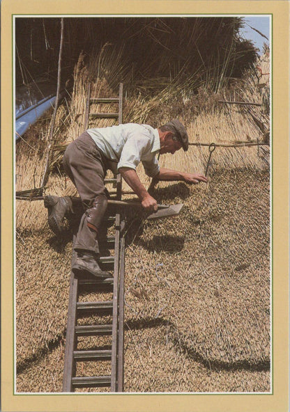Occupations Postcard - Traditional Crafts, The Thatcher  RR23340