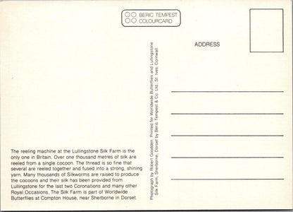 Kent Postcard - The Reeling Machine, Lullingstone Silk Farm  RR23397