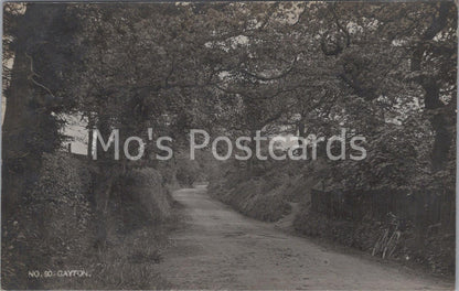 Cheshire Postcard: Gayton Scenic Rural Country Lane Village View  MB916