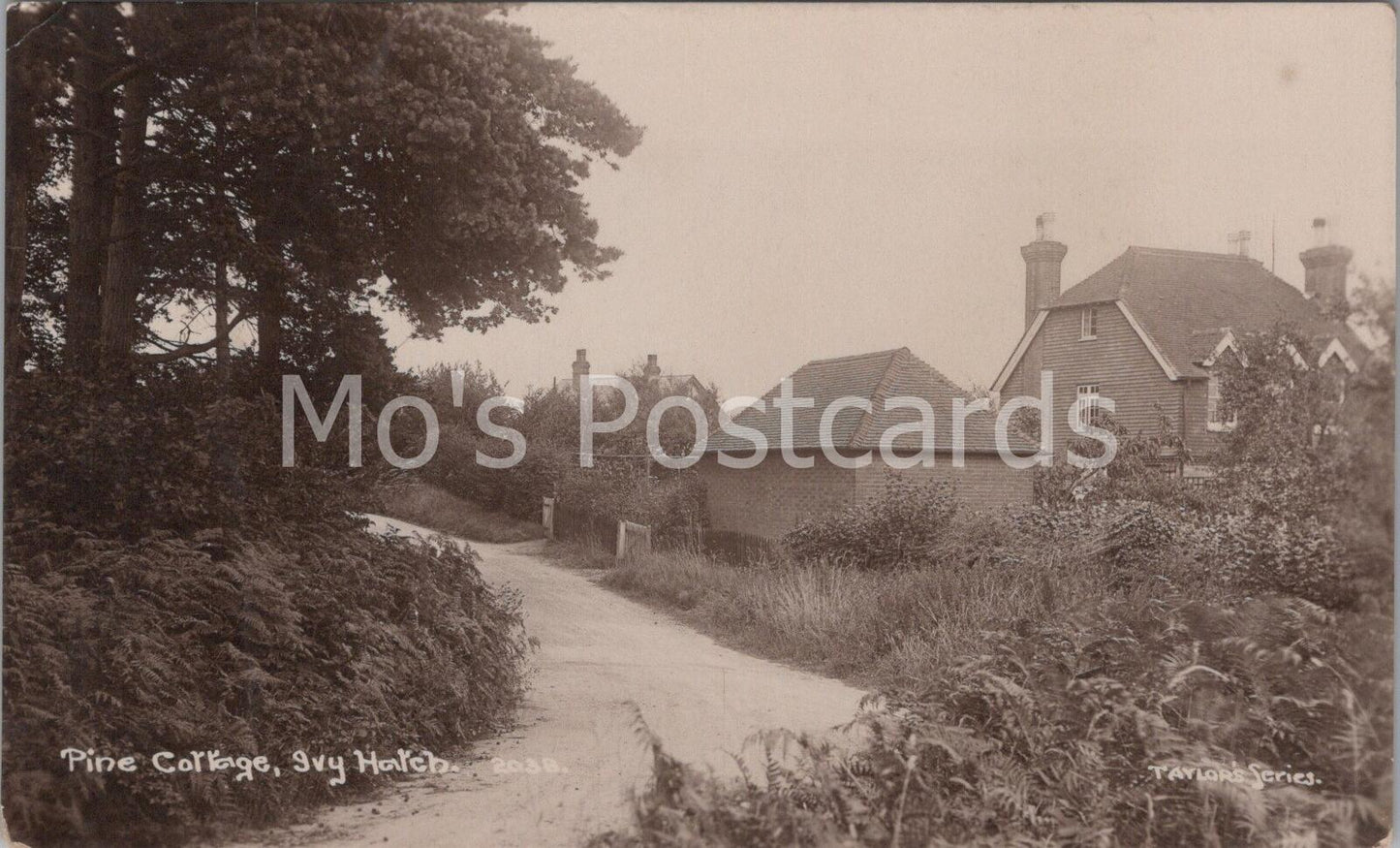 Kent Postcard: Ivy Hatch Village Near Sevenoaks Scenic Rural Lane Houses  D242