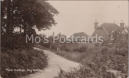 Kent Postcard: Ivy Hatch Village Near Sevenoaks Scenic Rural Lane Houses  D242