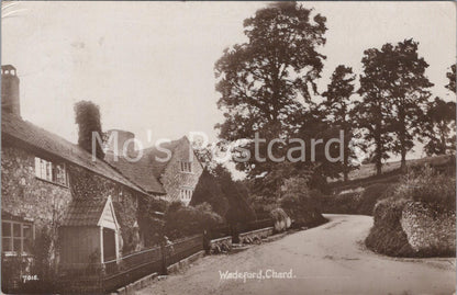 Wadeford Village Chard Somerset Rural Vintage Scene Postcard DR802