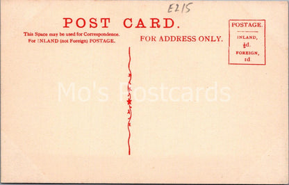 The Half Moon Pub, Sheet, Petersfield, Hampshire Vintage Printed Postcard E215