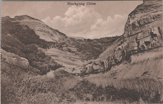 Isle of Wight Postcard: Blackgang Chine Coastal Ravine, 1900s, Sepia XT2508