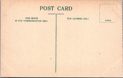 Isle of Wight Postcard: Blackgang Chine Coastal Ravine, 1900s, Sepia XT2508