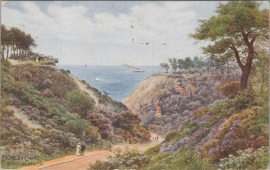 Hampshire Postcard: Bournemouth Durley Chine Coastal View Art 1910s Litho XT2938
