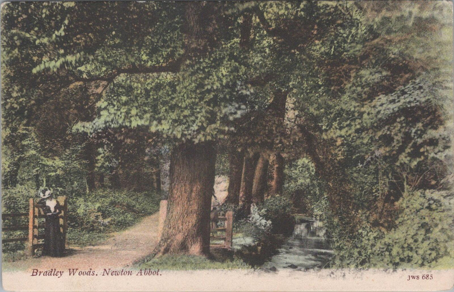 Devon Postcard: Newton Abbot Bradley Woods Ancient Woodland Valley 1904 - XT2940
