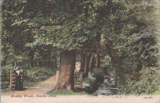 Devon Postcard: Newton Abbot Bradley Woods Ancient Woodland Valley 1904 - XT2940