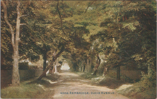 Isle of Wight Postcard:Bembridge Ducie Avenue Tree Lined Lane 1910s Litho XT2945