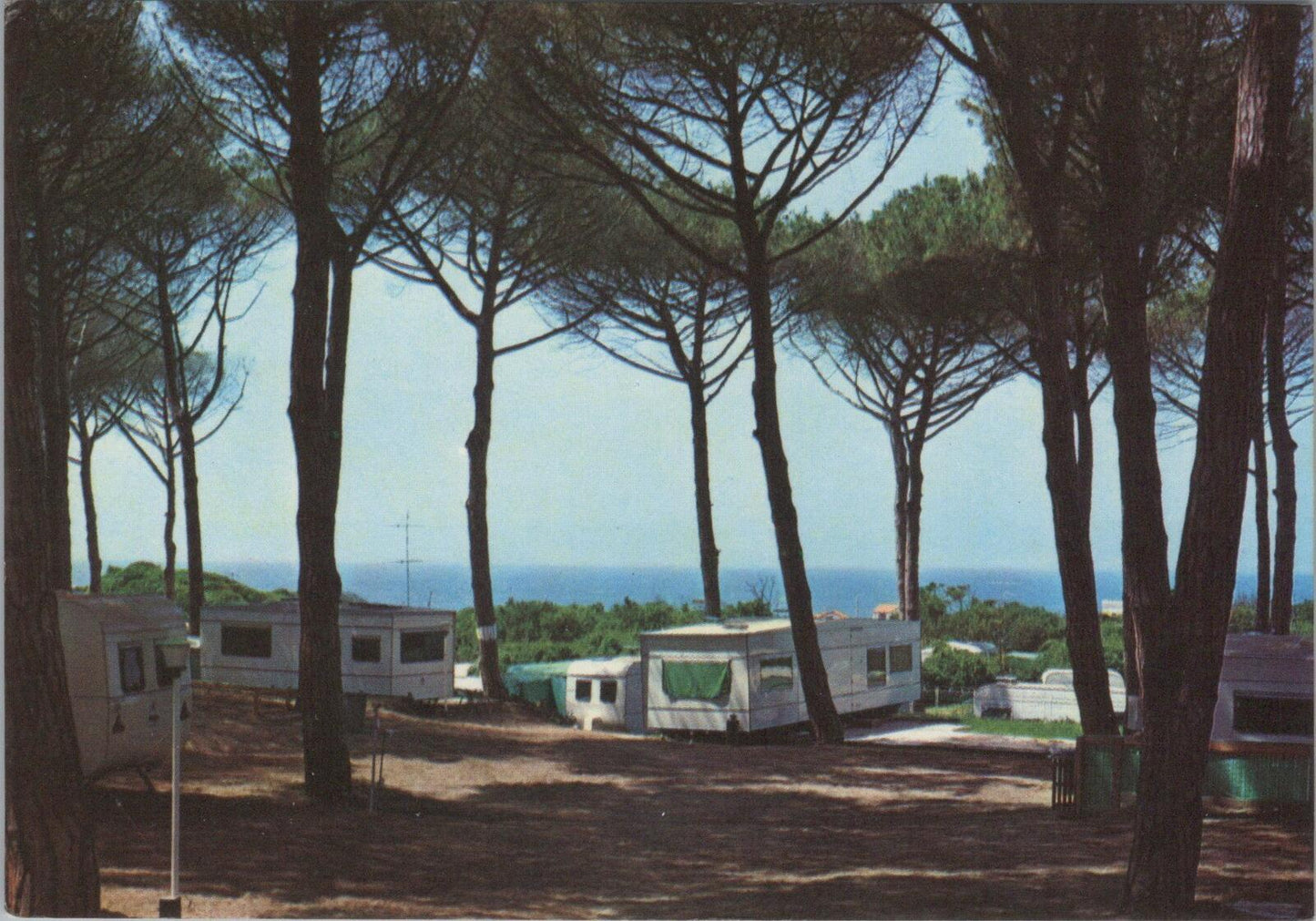Italy Postcard: Lido Dei Pini Arca International Camping XT3215