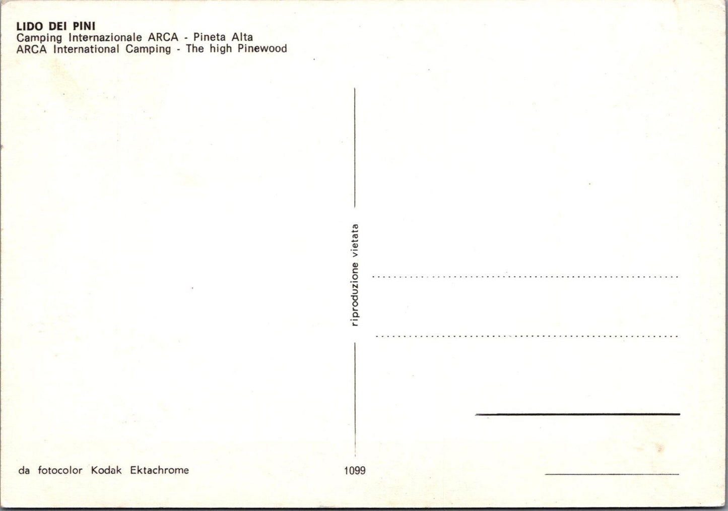 Italy Postcard: Lido Dei Pini Arca International Camping XT3215