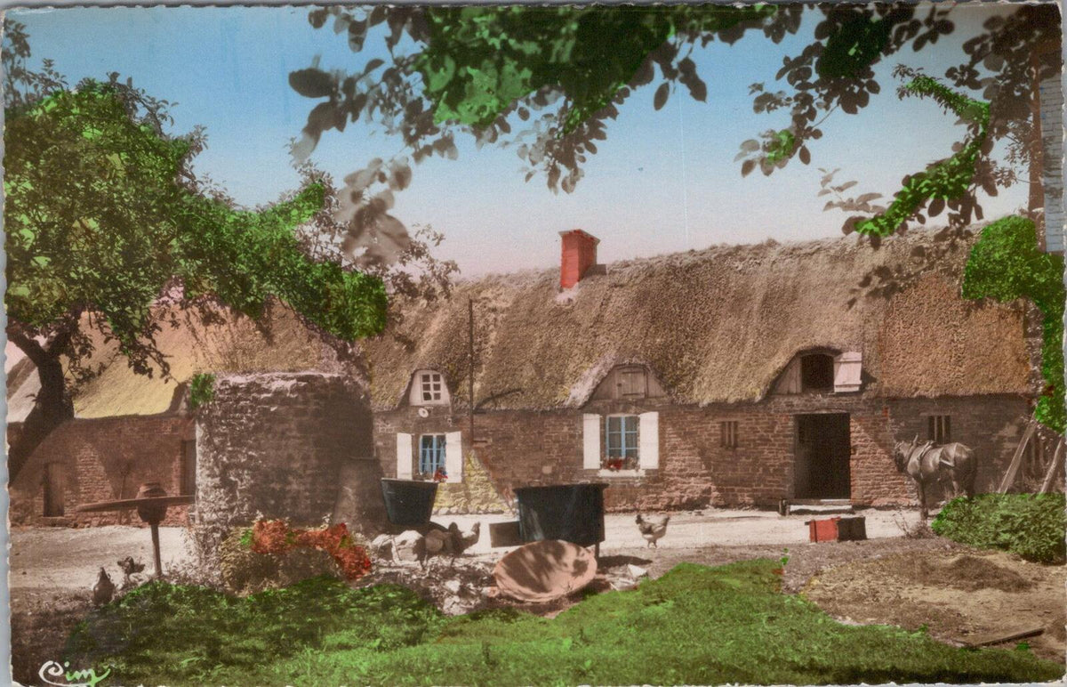 France Postcard: Vieille Ferme Normande Old Farm Thatch Cottage 1950s XT3115