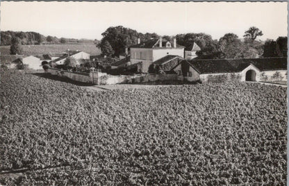 France Postcard: Remy Martin Vignoble des Martins Vineyard Cognac Estate XT3388
