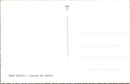 France Postcard: Remy Martin Vignoble des Martins Vineyard Cognac Estate XT3388