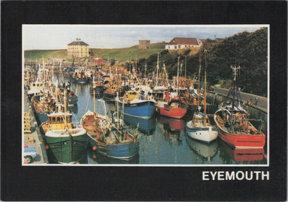 Scotland Postcard - Eyemouth Harbour, Berwickshire, Scottish Borders RR23266