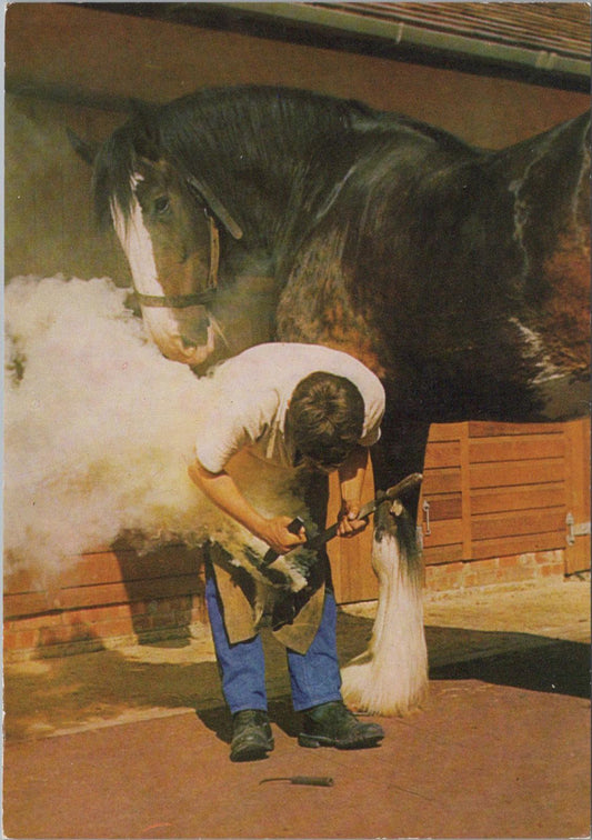 Berkshire Postcard - Courage Shire Horse Centre, Maidenhead  RR23286