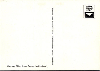 Berkshire Postcard - Courage Shire Horse Centre, Maidenhead  RR23286