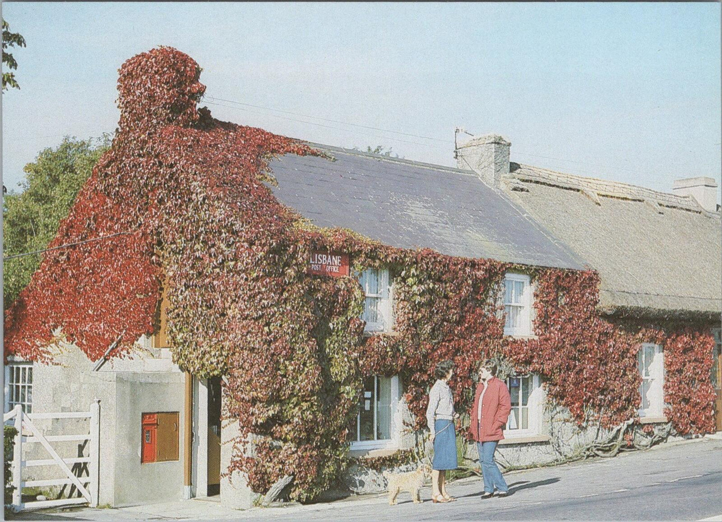 Northern Ireland Postcard: Lisbane Post Office Building, County Down XT2210