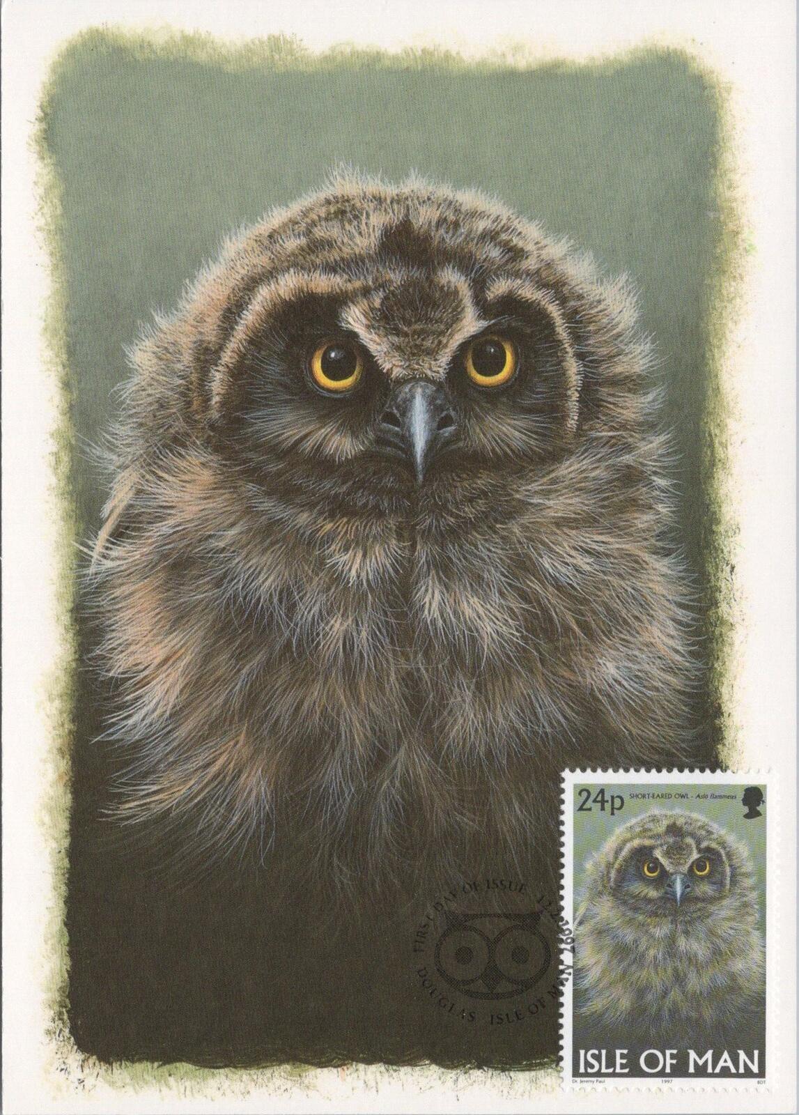Isle of Man Postcard: Short-eared Owl Stamp Design by Dr. Jeremy Paul XT2220