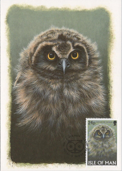 Isle of Man Postcard: Short-eared Owl Stamp Design by Dr. Jeremy Paul XT2220
