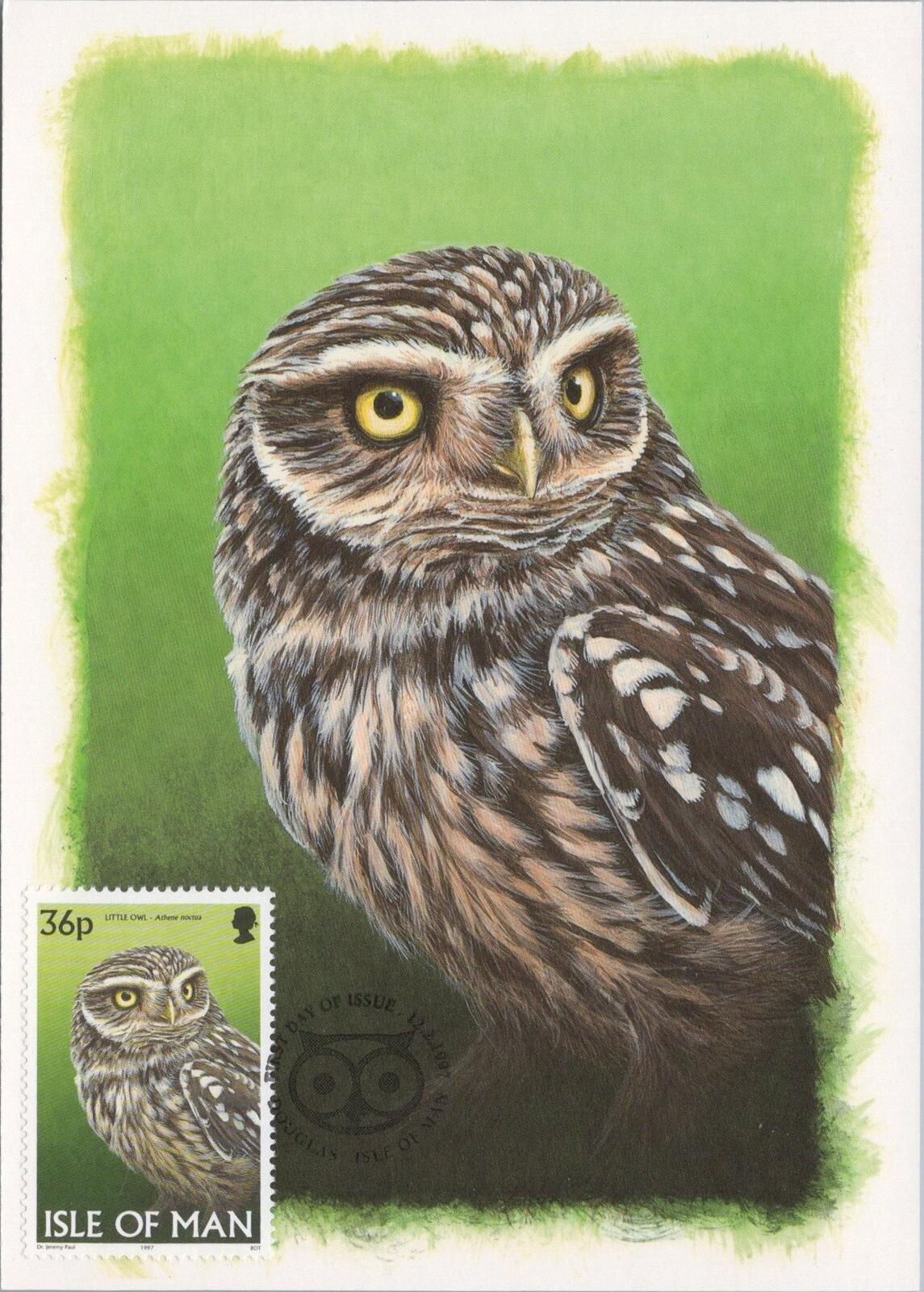 Isle of Man Postcard: Little Owl Stamp Design by Dr. Jeremy Paul XT2222