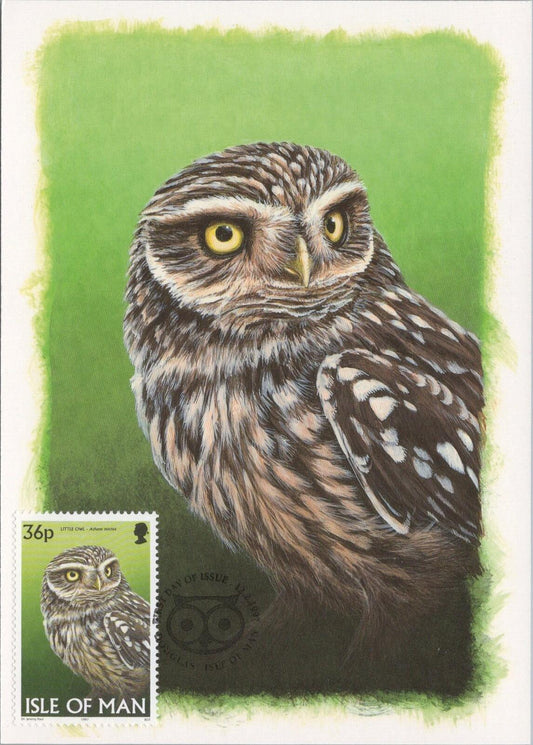 Isle of Man Postcard: Little Owl Stamp Design by Dr. Jeremy Paul XT2222