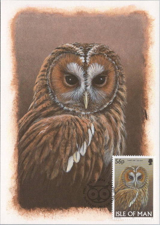 Isle of Man Postcard: Tawny Owl Stamp Design by Dr. Jeremy Paul XT2224