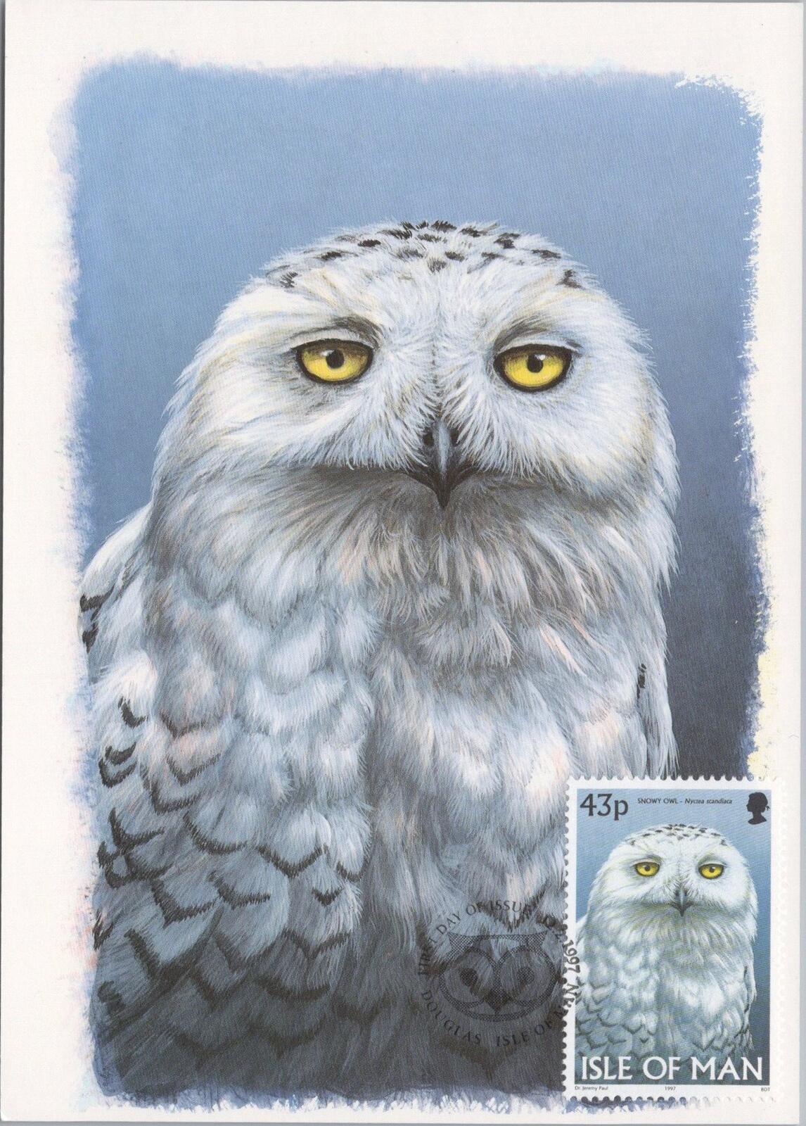 Isle of Man Postcard: Snowy Owl Stamp Design by Dr. Jeremy Paul XT2225