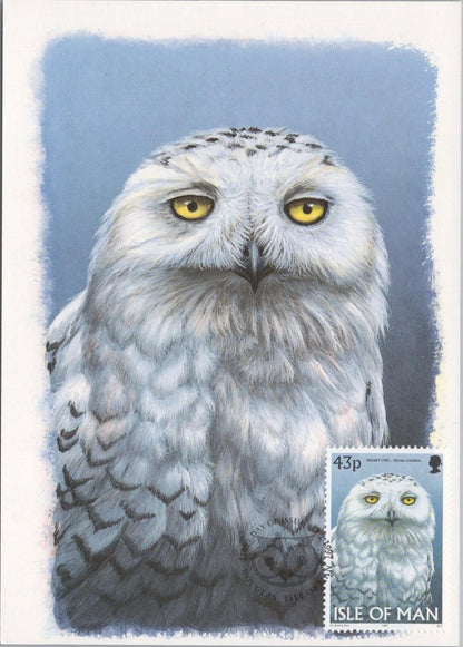 Isle of Man Postcard: Snowy Owl Stamp Design by Dr. Jeremy Paul XT2225
