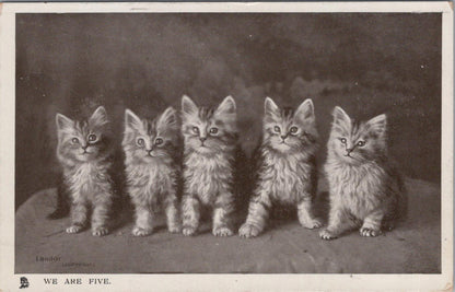 Animals Postcard - Cats, Kittens, We Are Five  XT480
