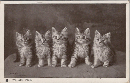 Animals Postcard - Cats, Kittens, We Are Five  XT480