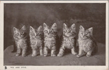 Load image into Gallery viewer, Animals Postcard - Cats, Kittens, We Are Five  XT480
