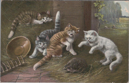 Animal Art Postcard - Cats, Kittens Baffled by a Hedgehog  XT486
