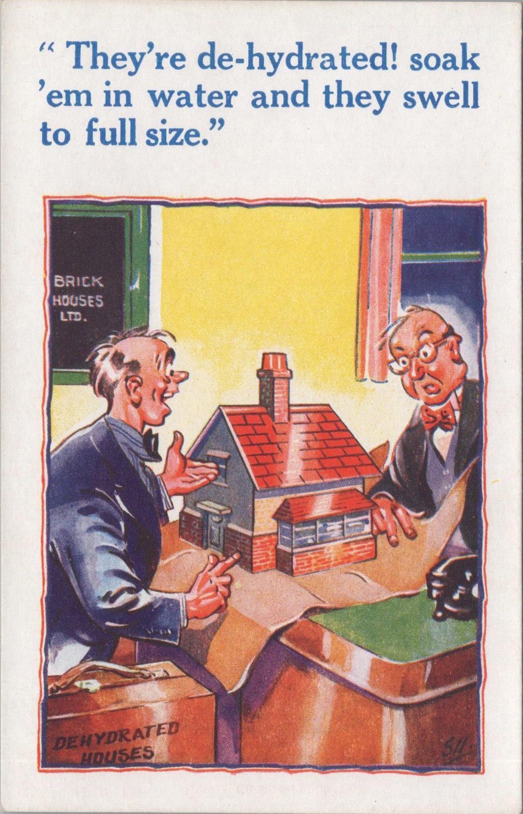Comic Postcard - Salesman From Brick Houses Ltd,  Dehydrated Houses XT505