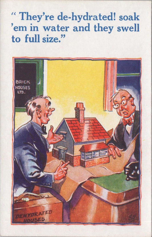 Comic Postcard - Salesman From Brick Houses Ltd,  Dehydrated Houses XT505