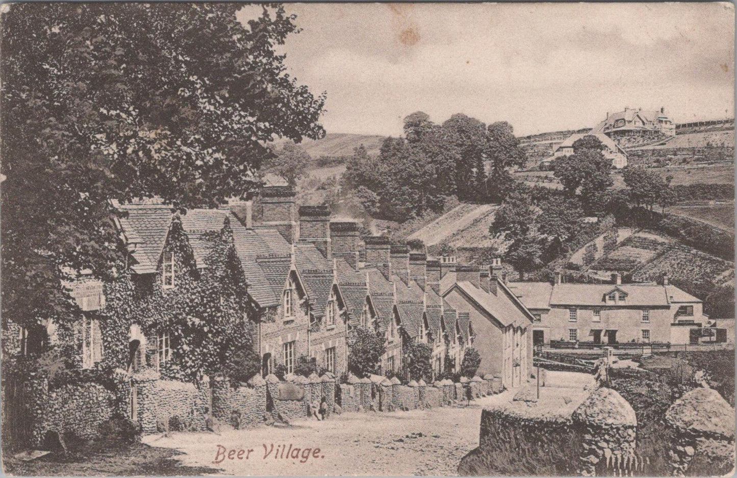 Devon Postcard - Beer Village    XT595