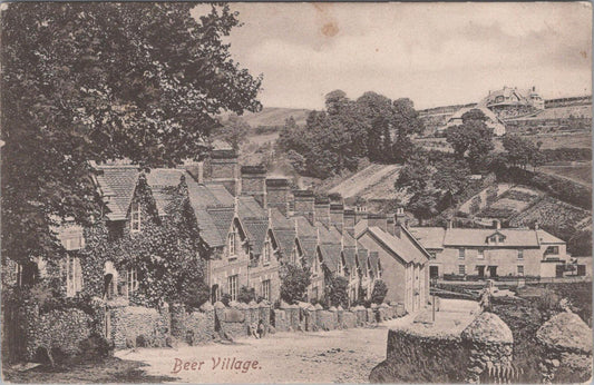 Devon Postcard - Beer Village    XT595