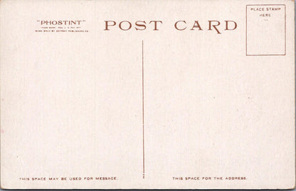 America Postcard - Beehive Geyser, Yellowstone National Park, Wyoming  XT604