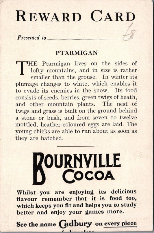 Animals Reward Card: Ptarmigan Bird Bournville Cocoa, Cadbury Bros XT3146