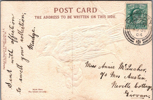 Animals Embossed Postcard: House Sparrows Pair Birds Tree Branch Art XT3147