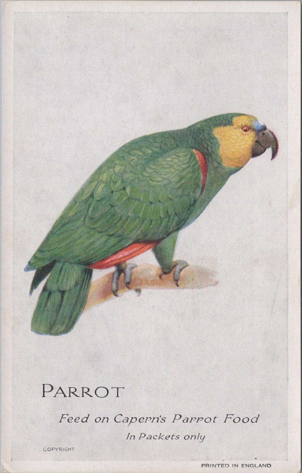 Animals Postcard: Parrot Feed On Capern's Parrot Food Bird Seed Advert  XT3148