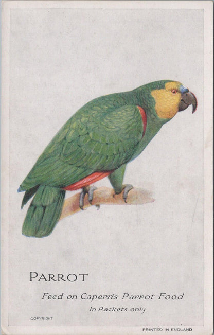Animals Postcard: Parrot Feed On Capern's Parrot Food Bird Seed Advert  XT3148