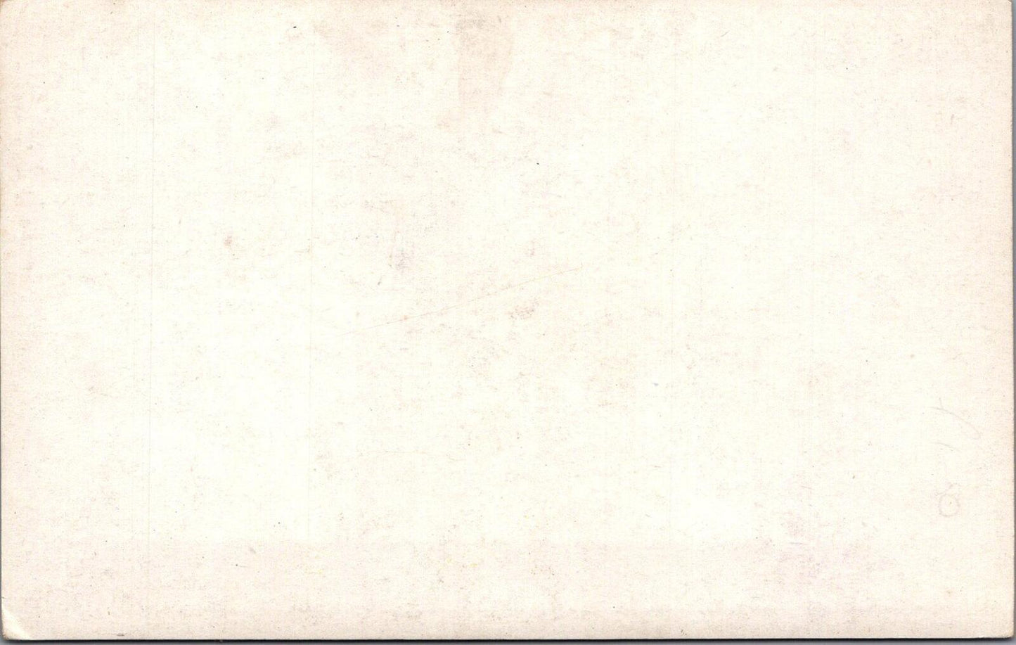 Animals Postcard: Parrot Feed On Capern's Parrot Food Bird Seed Advert  XT3148