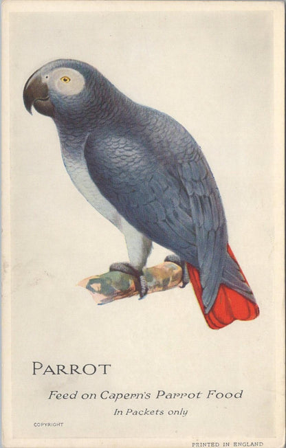 Animals Postcard: Parrot Feed On Capern's Parrot Food Grey Bird Seed Art XT3149