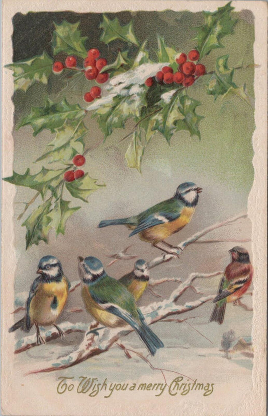 Greetings Postcard: Birds, Blue Tits Winter Birds Holly Merry Christmas XT3150