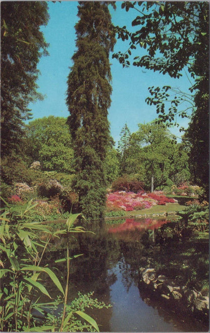 Hampshire Postcard: Exbury Gardens Near Beaulieu Middle Pond 1970s Chrome XT3159