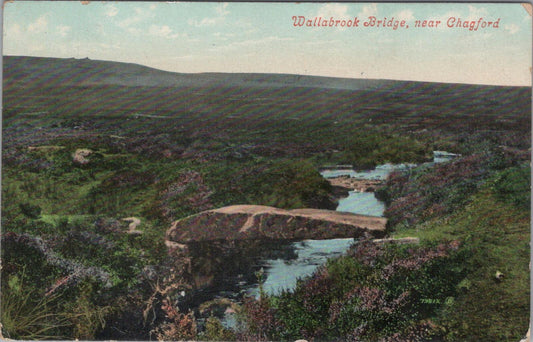 Devon Postcard: Wallabrook Bridge, Clapper Bridge Dartmoor Chagford 1912 XT3160