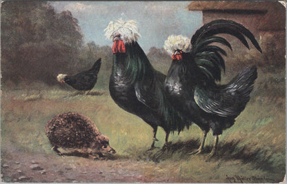 Animals Postcard: White Crested Black Polish Chickens August Müller-Mainz XT3175
